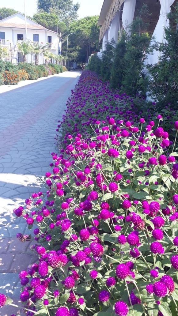 Hotel Otrant Velipojë Dış mekan fotoğraf